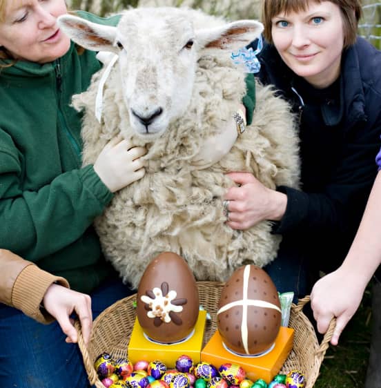 girls with sheep's